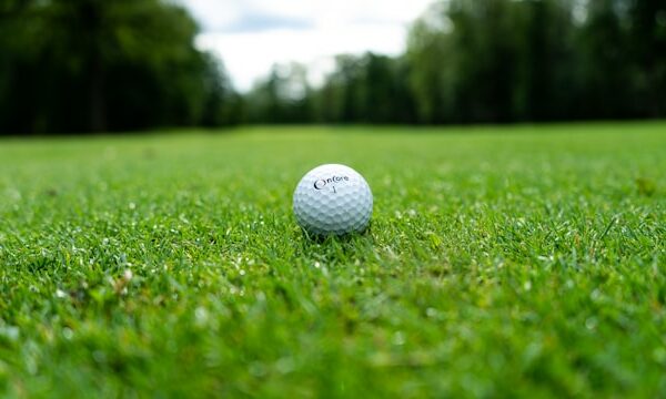 Mastering the Art of Global Casino Gameplay: How Spin Mama Slots are Redefining the Betting Landscape