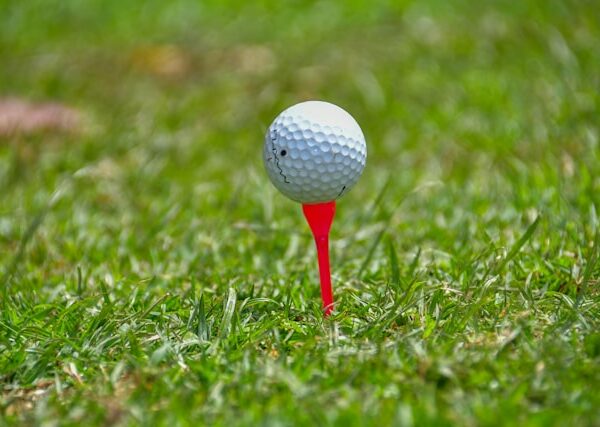 Mastering the Art of Winning at SlotsDJ Casino: An Australians Comprehensive Guide to Online Betting